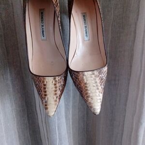 Manolo Blahnik Brown Snakeskin Women's Shoes No Box